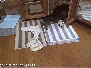 20180523081737.jpg